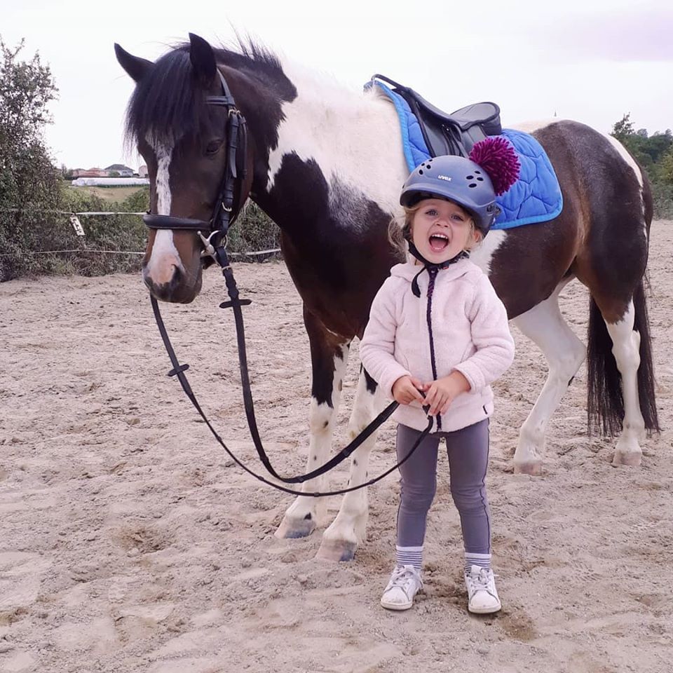 cours equitation poney