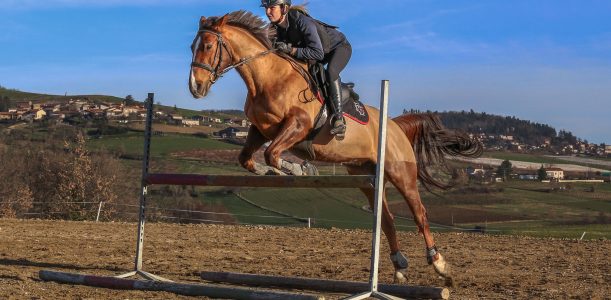 Cours d’équitation
