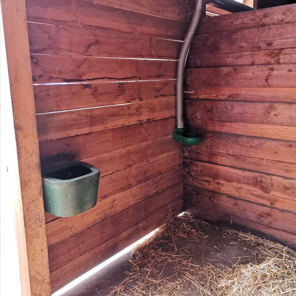 pension_box_lyon