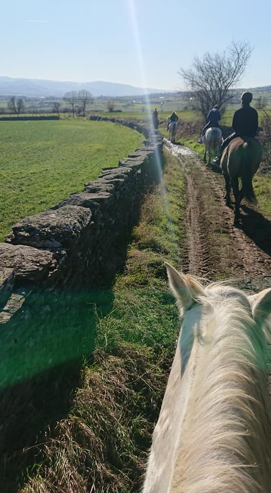 pension équitation d'extérieur