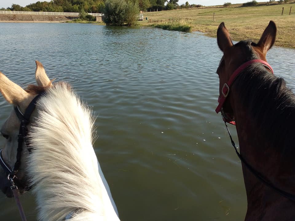 randonnée cheval lac madone quintillière