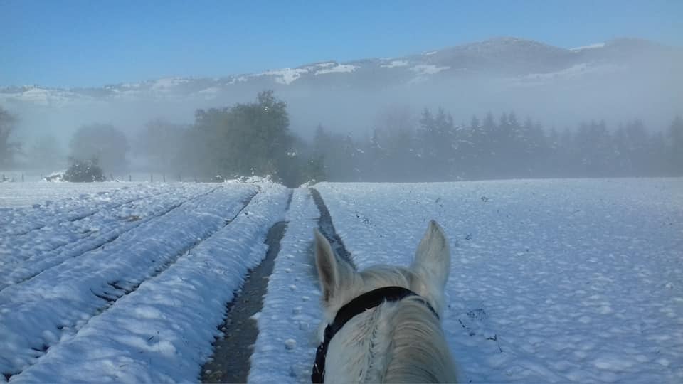 Balade à cheval sous la neige quintillière