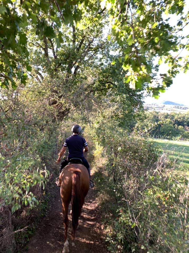 Balade cheval mornant