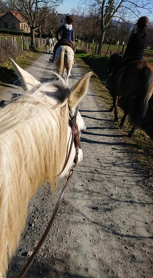 equitation extérieur quintillière