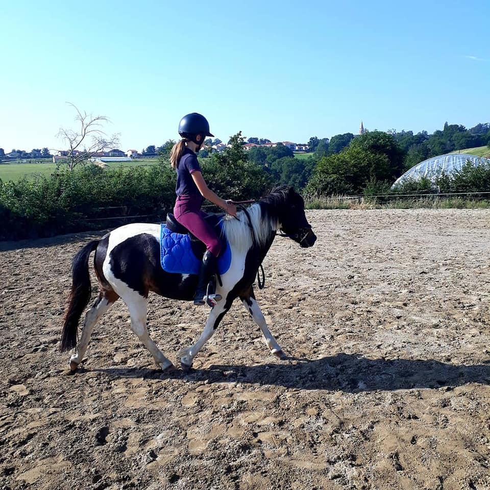 école d'équitation ouest lyonnais