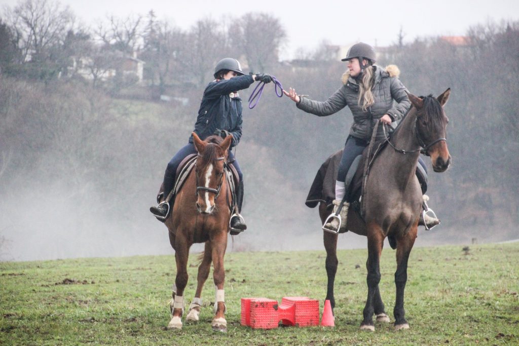 Poney game écurie quintillière