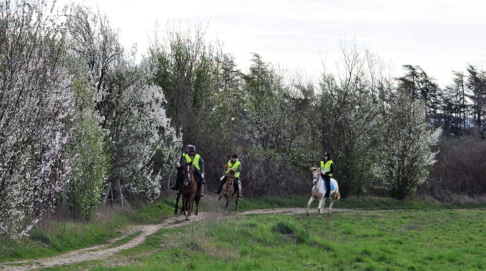 TREC team quintillière