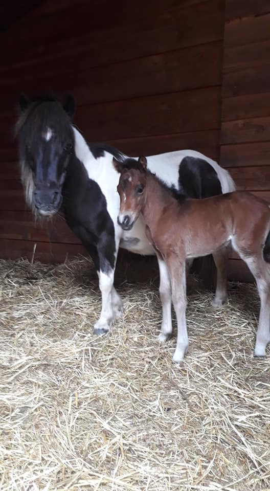 Naissance de Kielo
